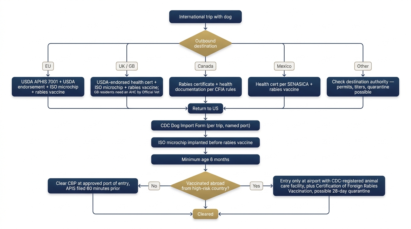 Flowchart of international pet travel paperwork for dogs flying private. Branches by outbound destination (EU, UK/GB, Canada, Mexico, or other) into required documents and issuing authorities, then converges into a Return-to-US path covering the CDC Dog Import Form, microchip-before-rabies-vaccine rule, six-month minimum age, and a final decision on whether the dog was vaccinated abroad in a CDC high-risk country, ending with CBP clearance.